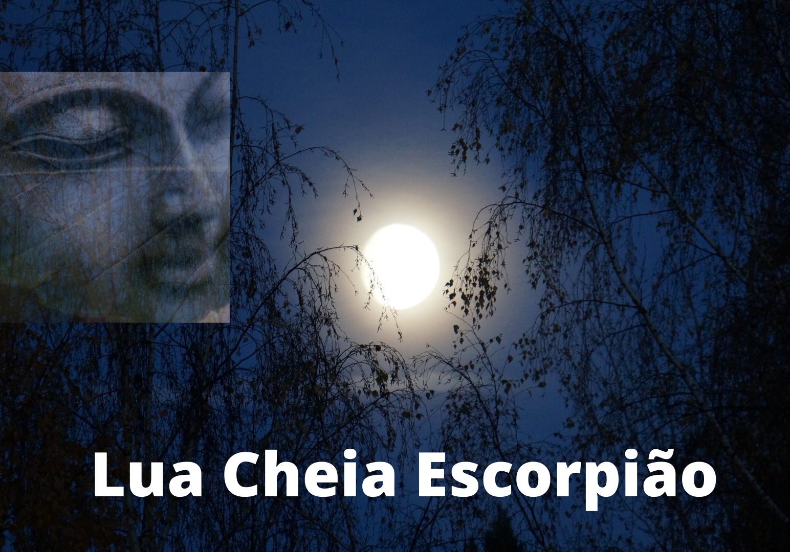 Lua Cheia Escorpião 2