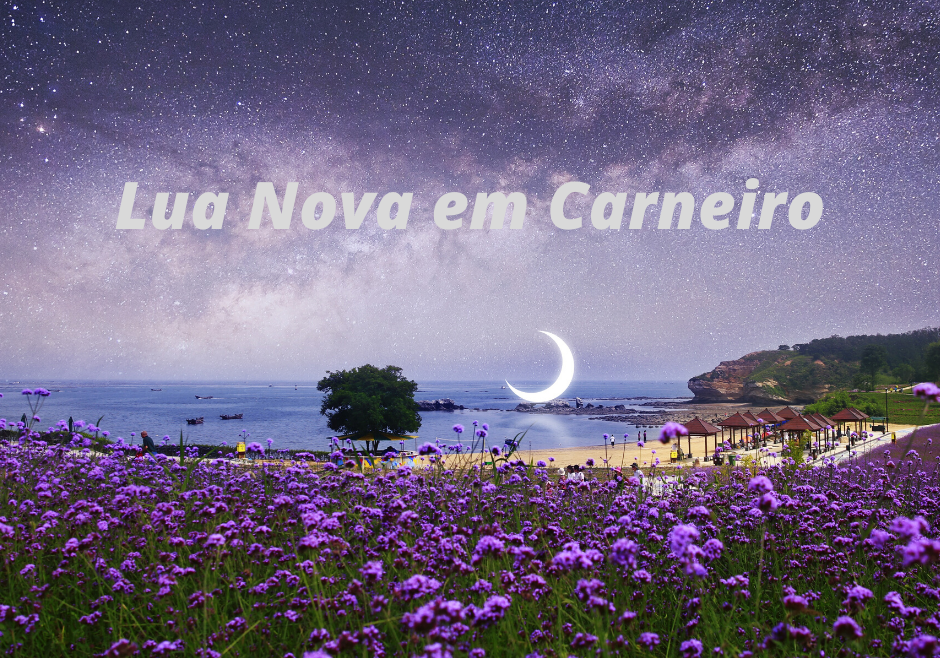Lua Nova em Carneiro 2